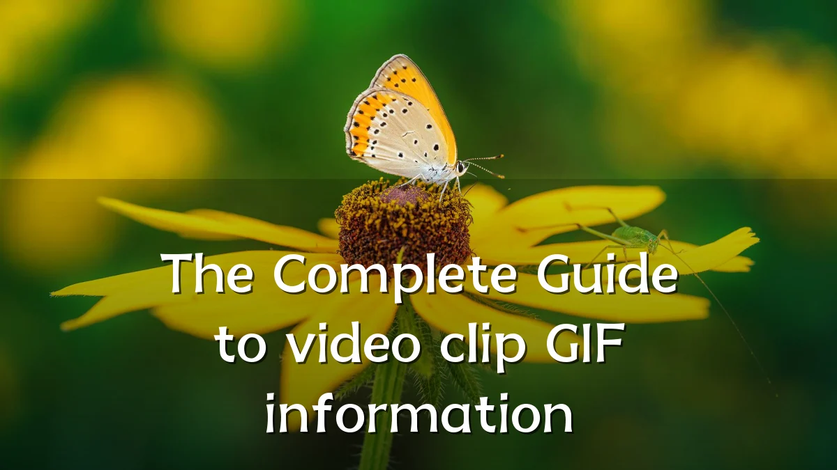 The Complete Guide to video clip GIF information