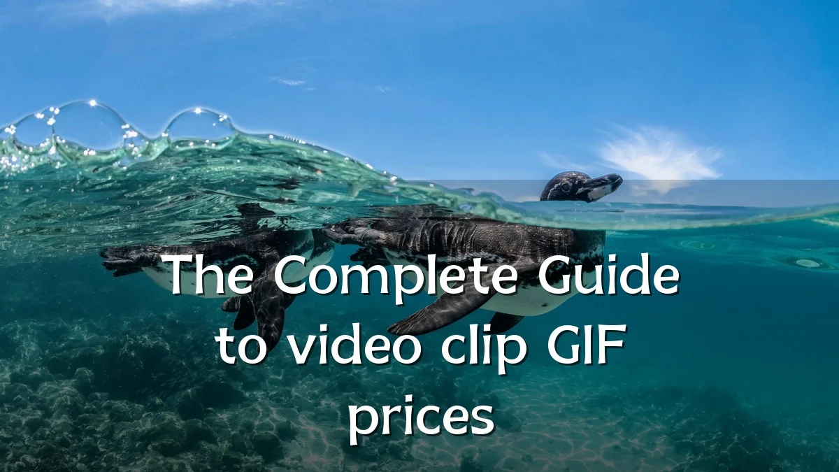 The Complete Guide to video clip GIF prices