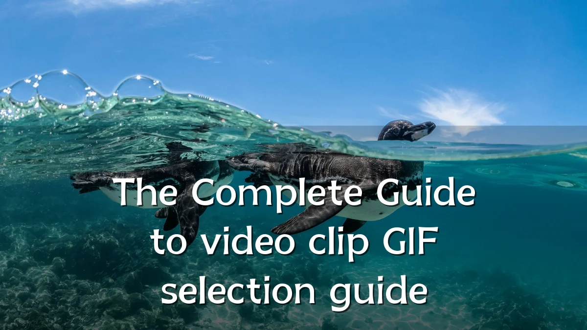The Complete Guide to video clip GIF selection guide
