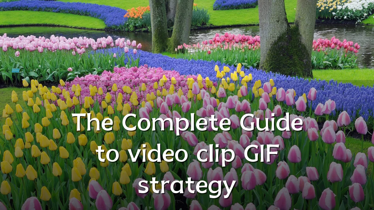 The Complete Guide to video clip GIF strategy