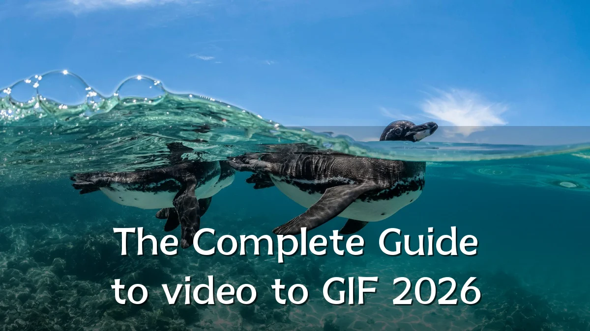 The Complete Guide to video to GIF 2026