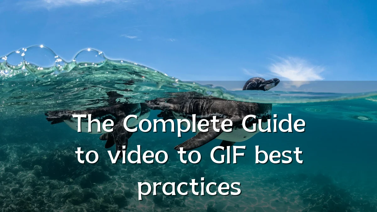 The Complete Guide to video to GIF best practices