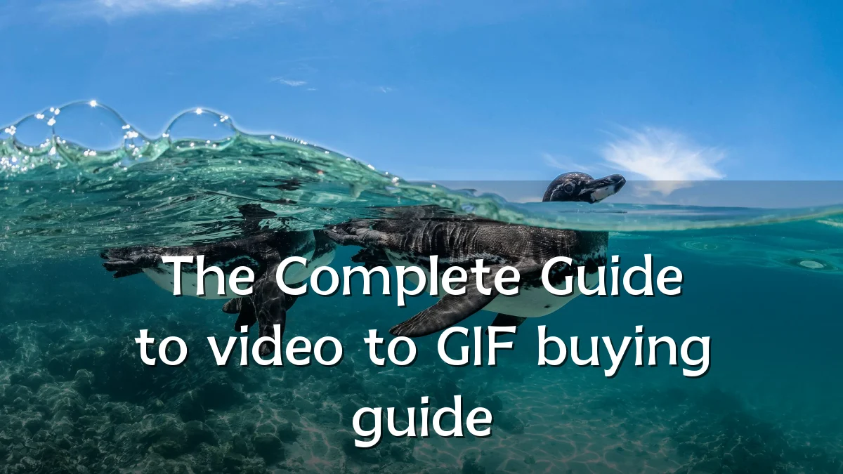 The Complete Guide to video to GIF buying guide