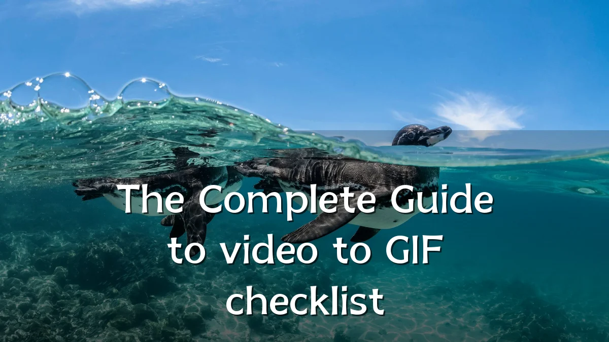 The Complete Guide to video to GIF checklist