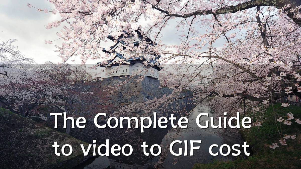The Complete Guide to video to GIF cost
