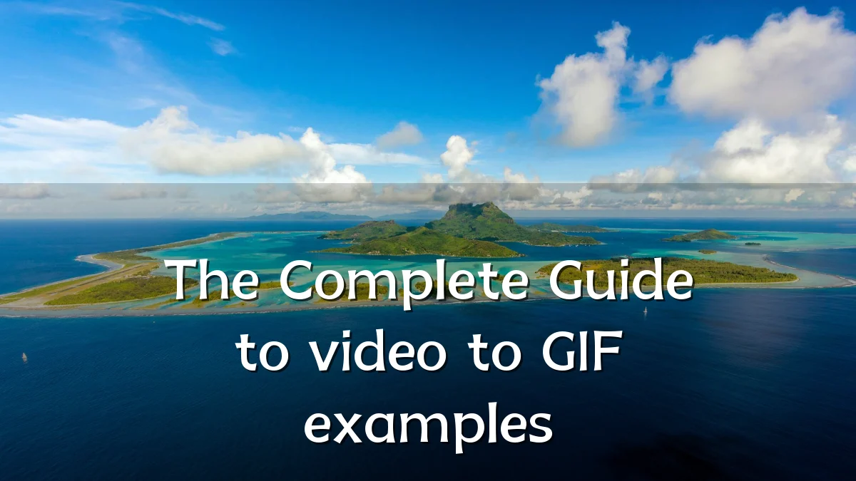 The Complete Guide to video to GIF examples