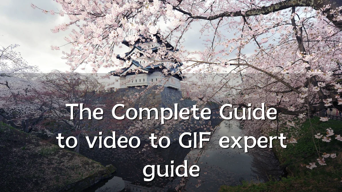 The Complete Guide to video to GIF expert guide