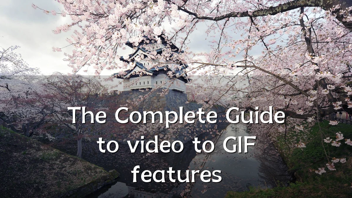 The Complete Guide to video to GIF features