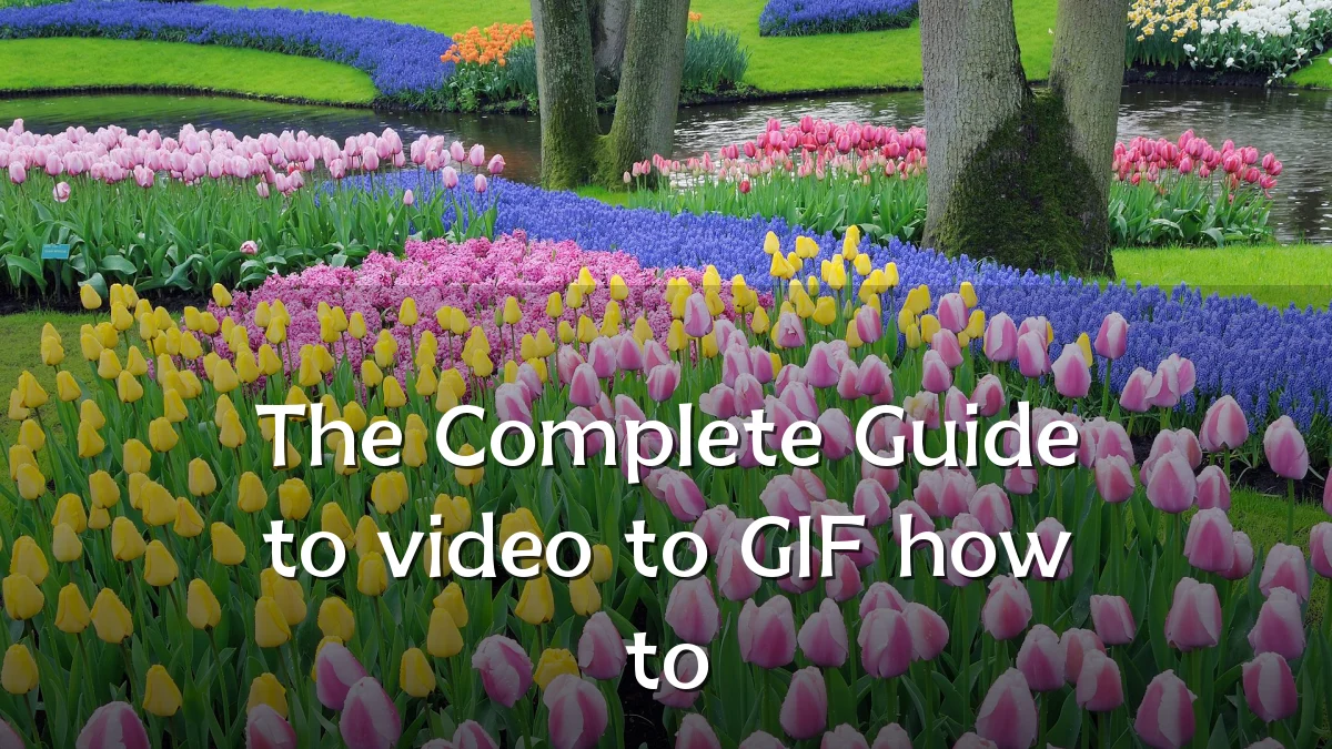 The Complete Guide to video to GIF how to
