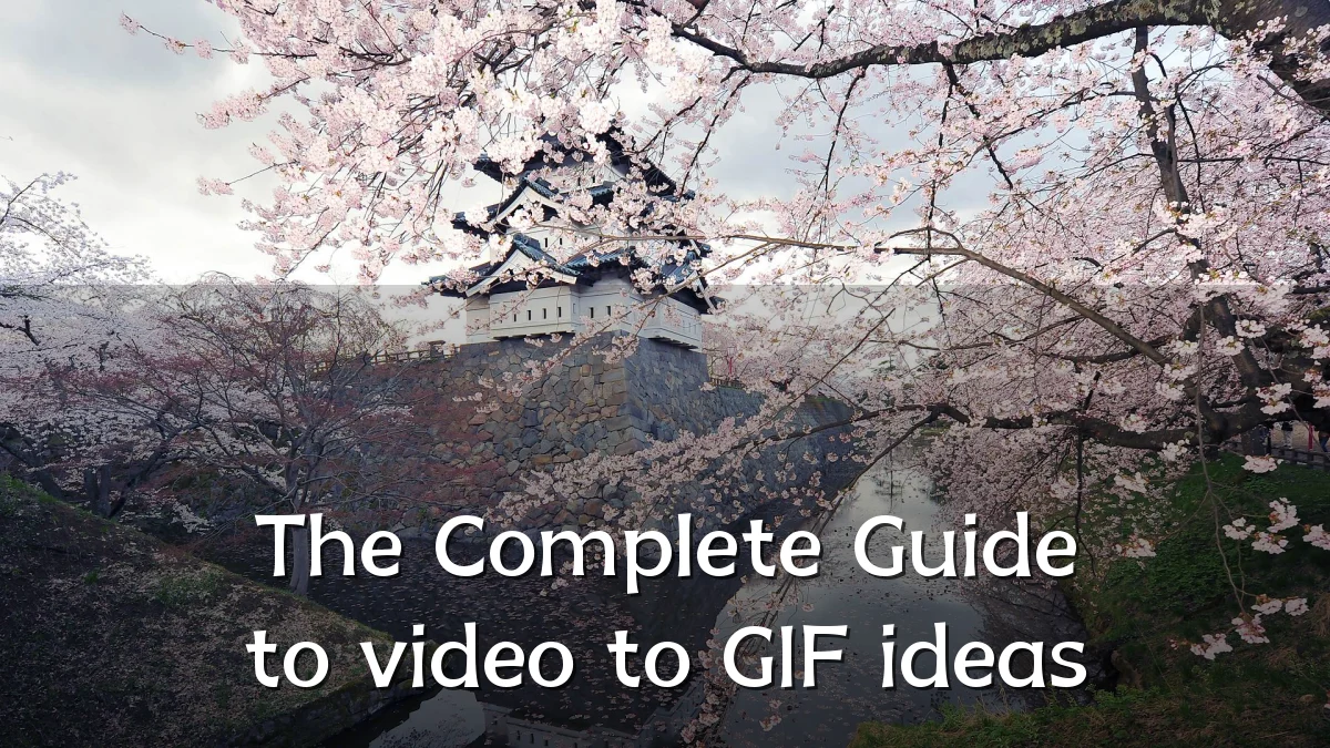The Complete Guide to video to GIF ideas