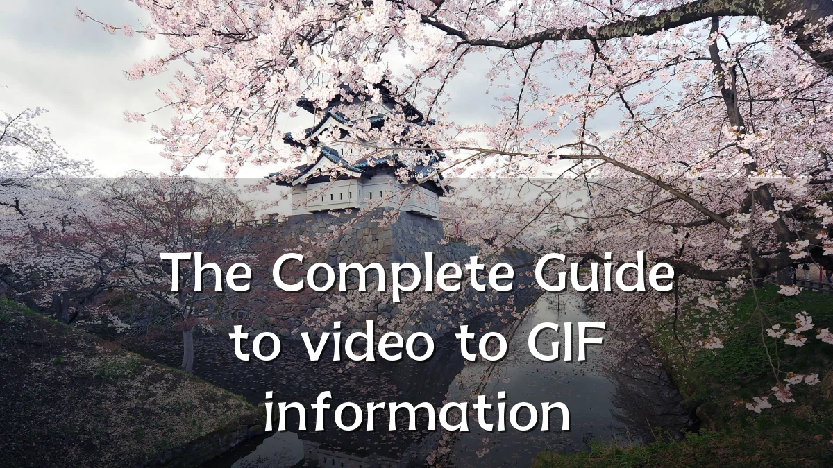 The Complete Guide to video to GIF information