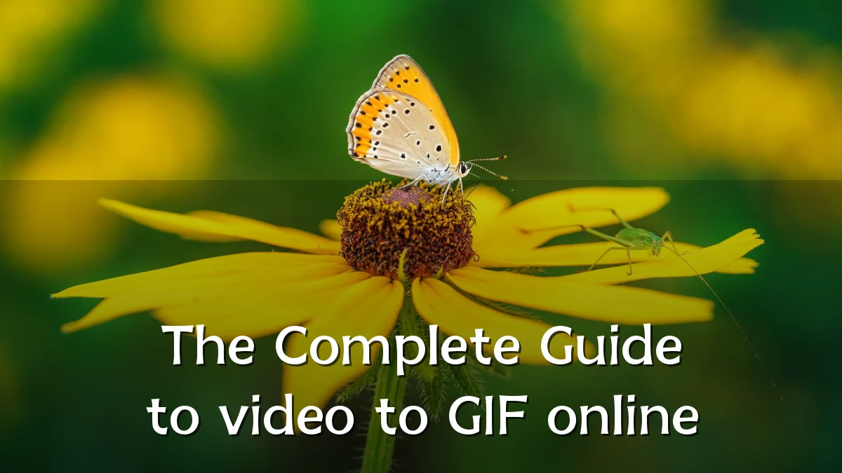 The Complete Guide to video to GIF online