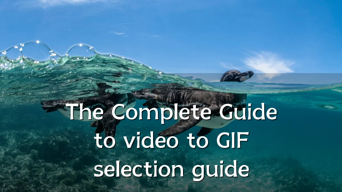 The Complete Guide to video to GIF selection guide