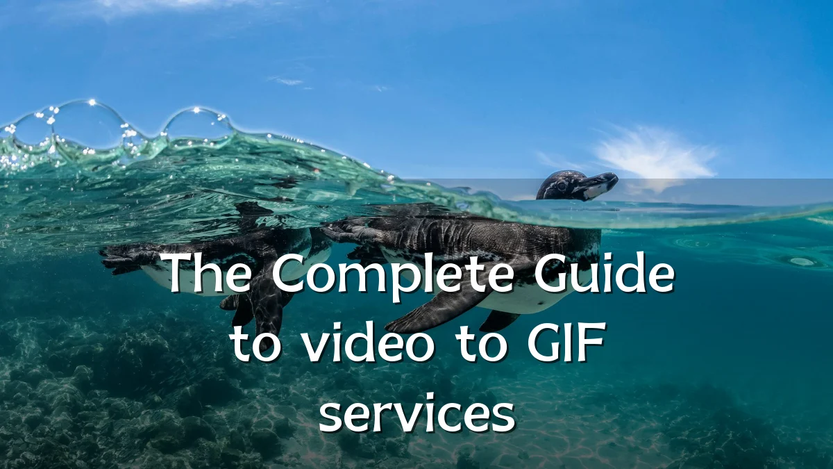 The Complete Guide to video to GIF services
