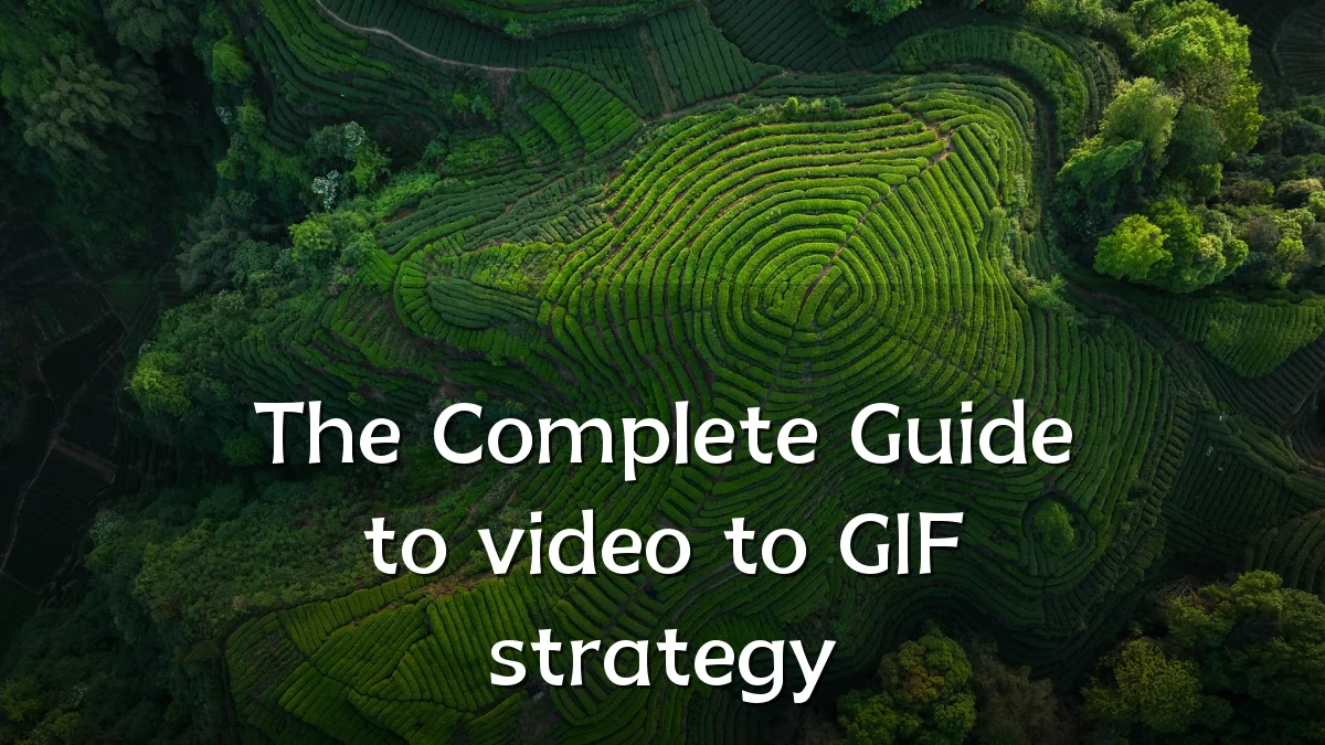The Complete Guide to video to GIF strategy
