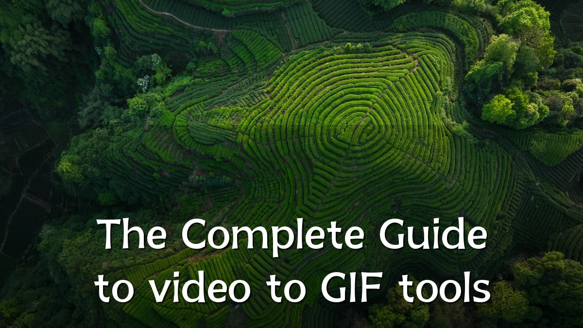 The Complete Guide to video to GIF tools