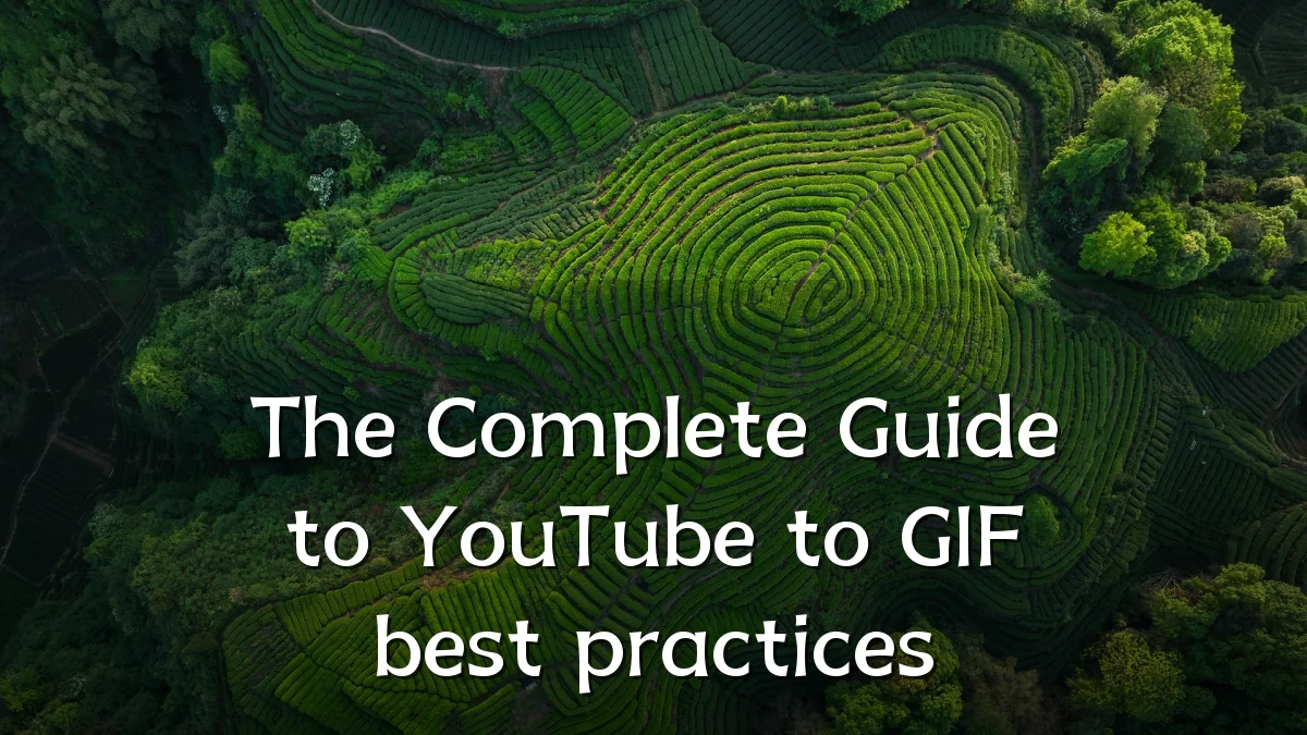 The Complete Guide to YouTube to GIF best practices