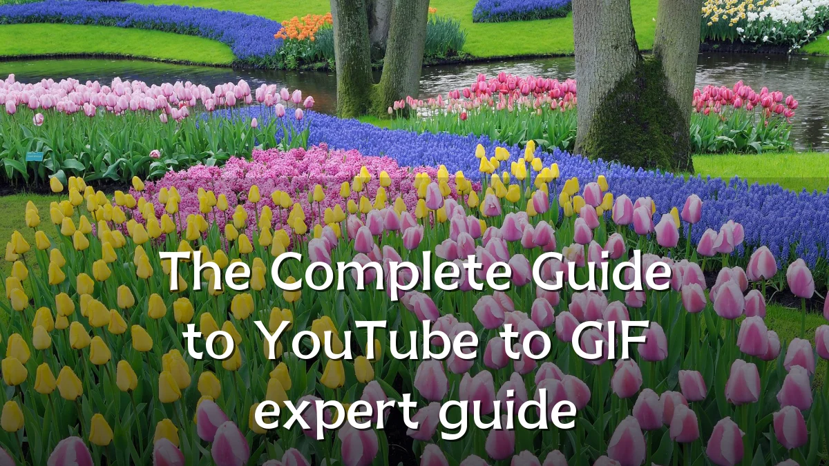 The Complete Guide to YouTube to GIF expert guide