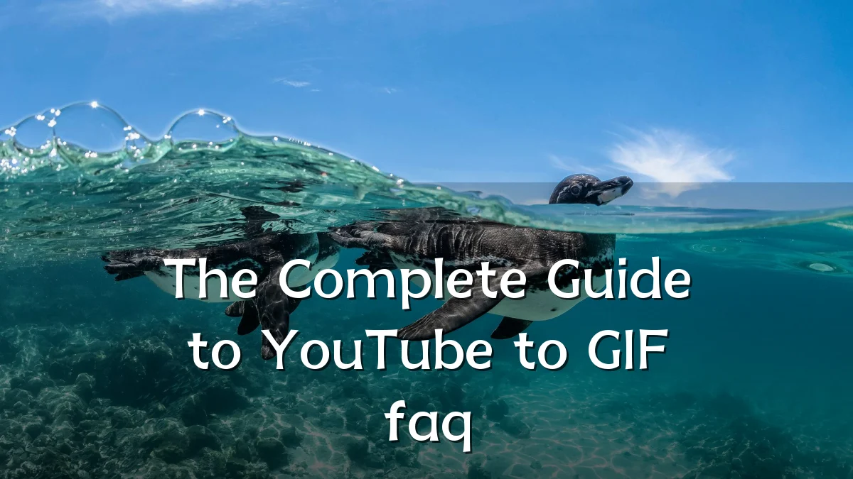 The Complete Guide to YouTube to GIF faq