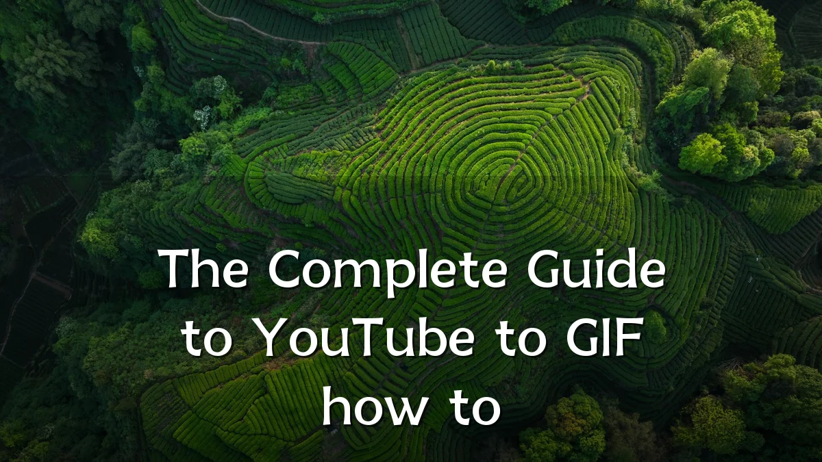 The Complete Guide to YouTube to GIF how to