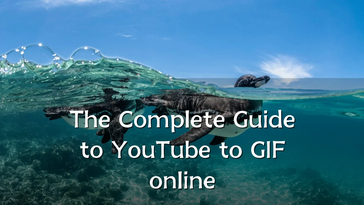 The Complete Guide to YouTube to GIF online