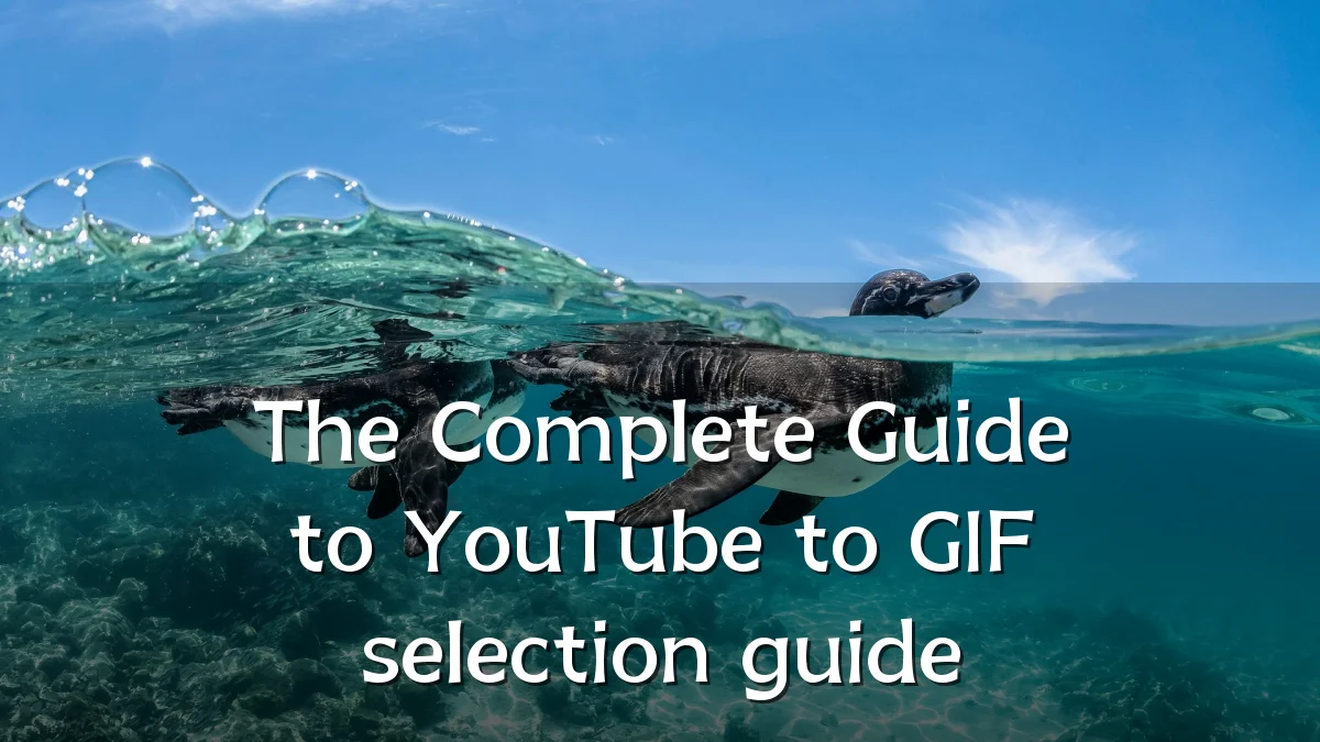 The Complete Guide to YouTube to GIF selection guide