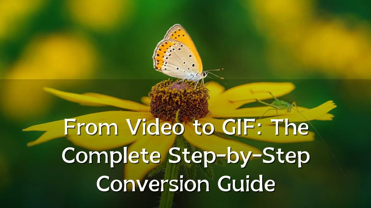 From Video to GIF: The Complete Step-by-Step Conversion Guide