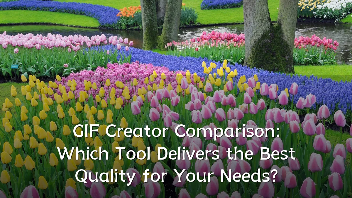 GIF Creator Comparison: Which Tool Delivers the Best Quality for Your Needs?