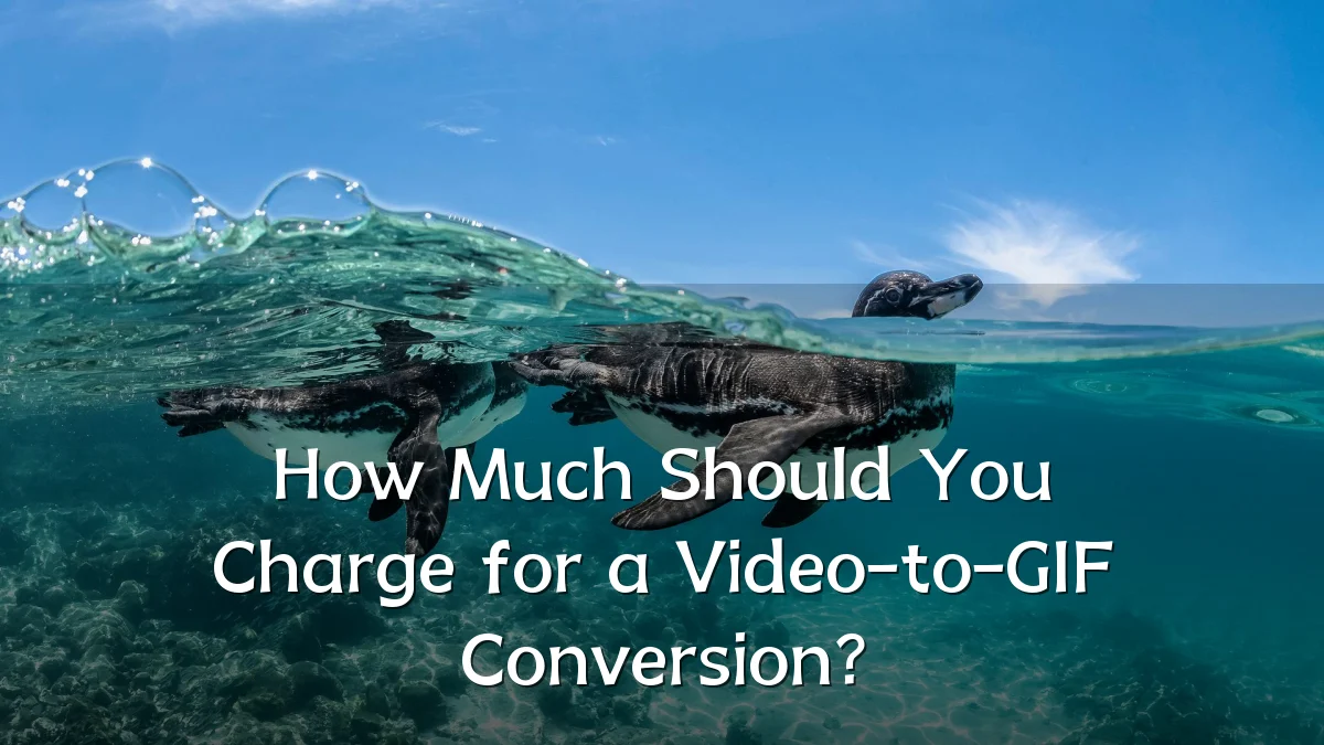 How Much Should You Charge for a Video-to-GIF Conversion?