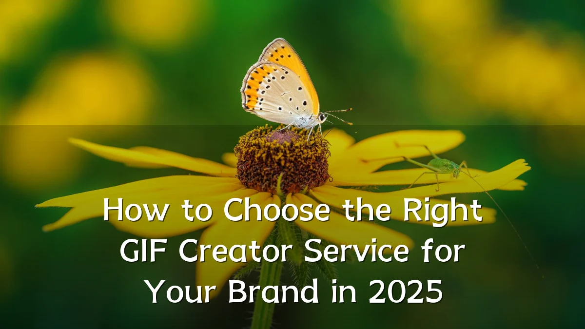 How to Choose the Right GIF Creator Service for Your Brand in 2025