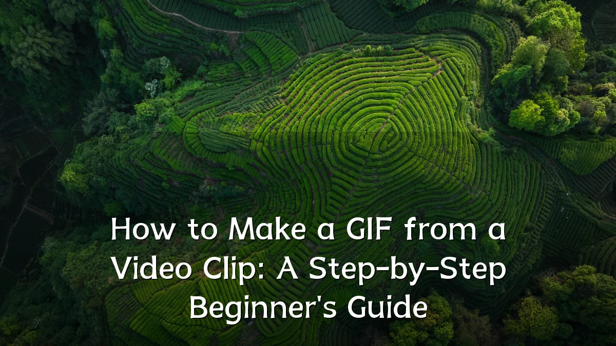 How to Make a GIF from a Video Clip: A Step-by-Step Beginner's Guide