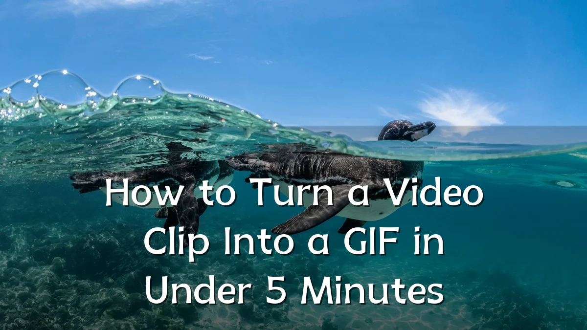 How to Turn a Video Clip Into a GIF in Under 5 Minutes