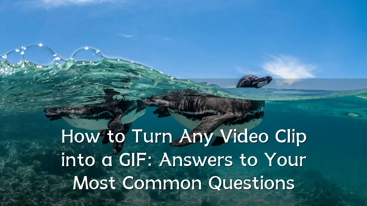 How to Turn Any Video Clip into a GIF: Answers to Your Most Common Questions