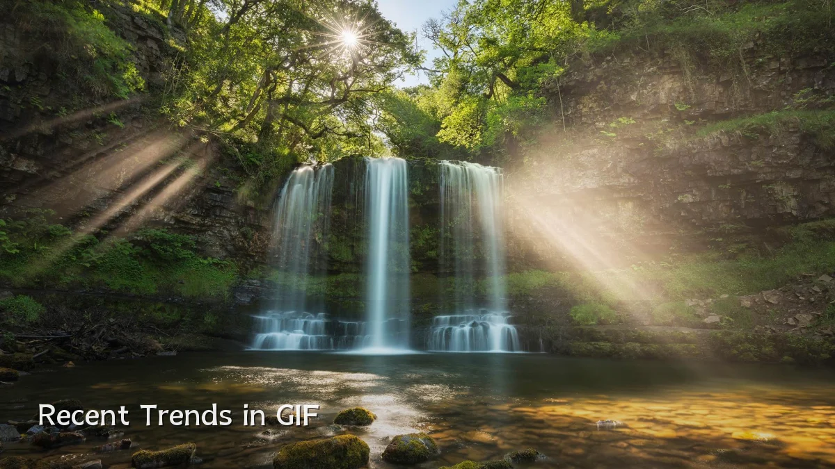 Recent Trends in GIF