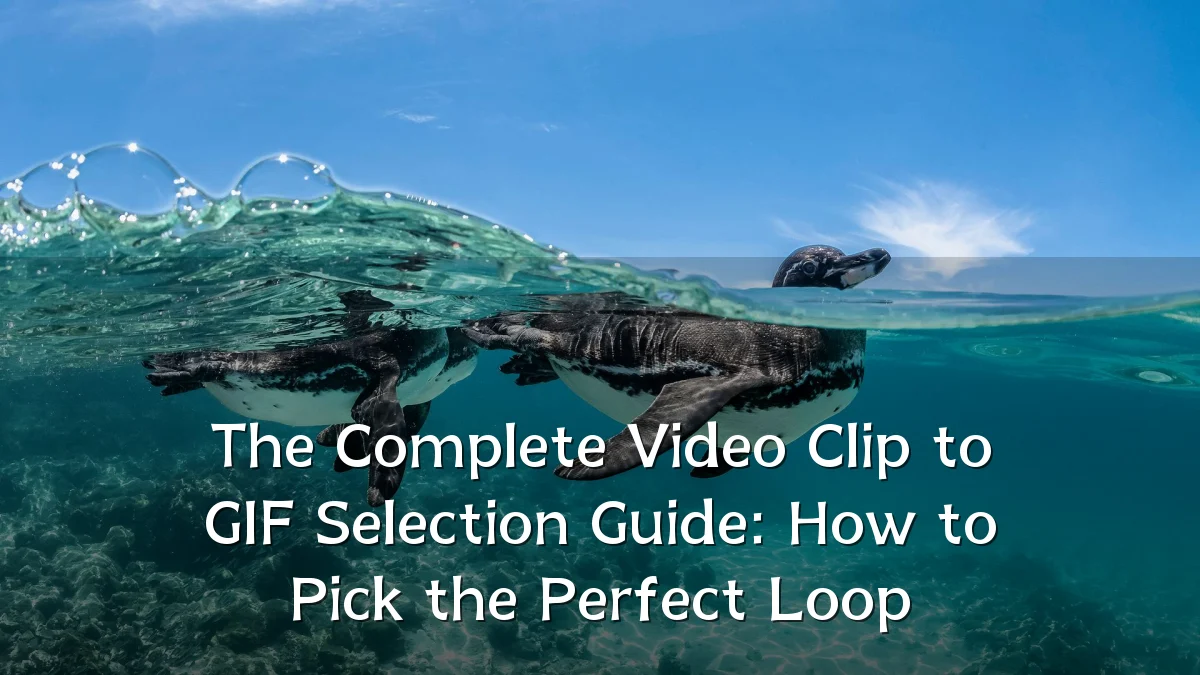 The Complete Video Clip to GIF Selection Guide: How to Pick the Perfect Loop