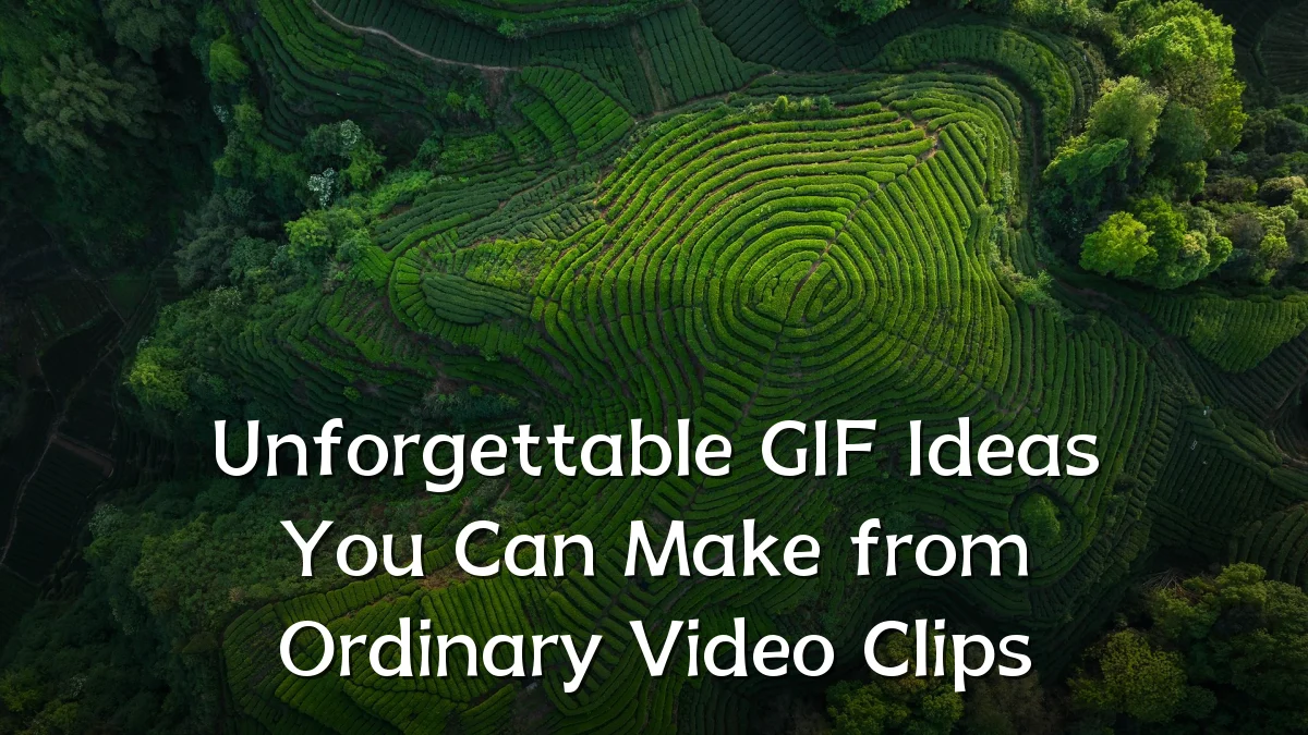 Unforgettable GIF Ideas You Can Make from Ordinary Video Clips