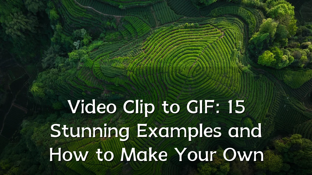 Video Clip to GIF: 15 Stunning Examples and How to Make Your Own