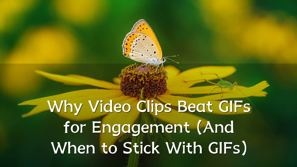 Why Video Clips Beat GIFs for Engagement (And When to Stick With GIFs)